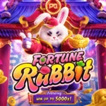 Fortune Rabbit